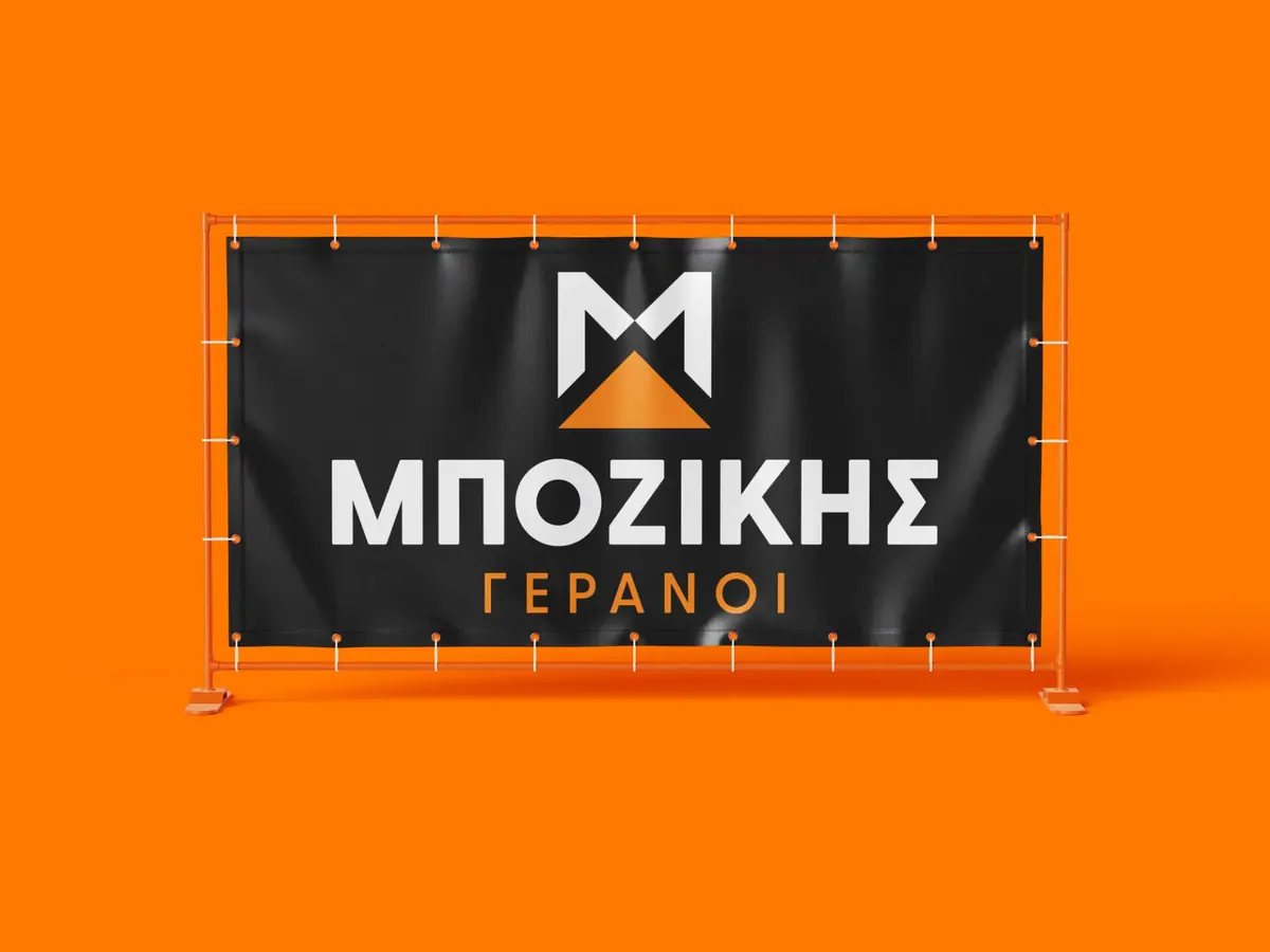 Μποζίκης Γερανοί Κορίνθου, Λογότυπο και ιστοσελίδα, εικόνα 19
