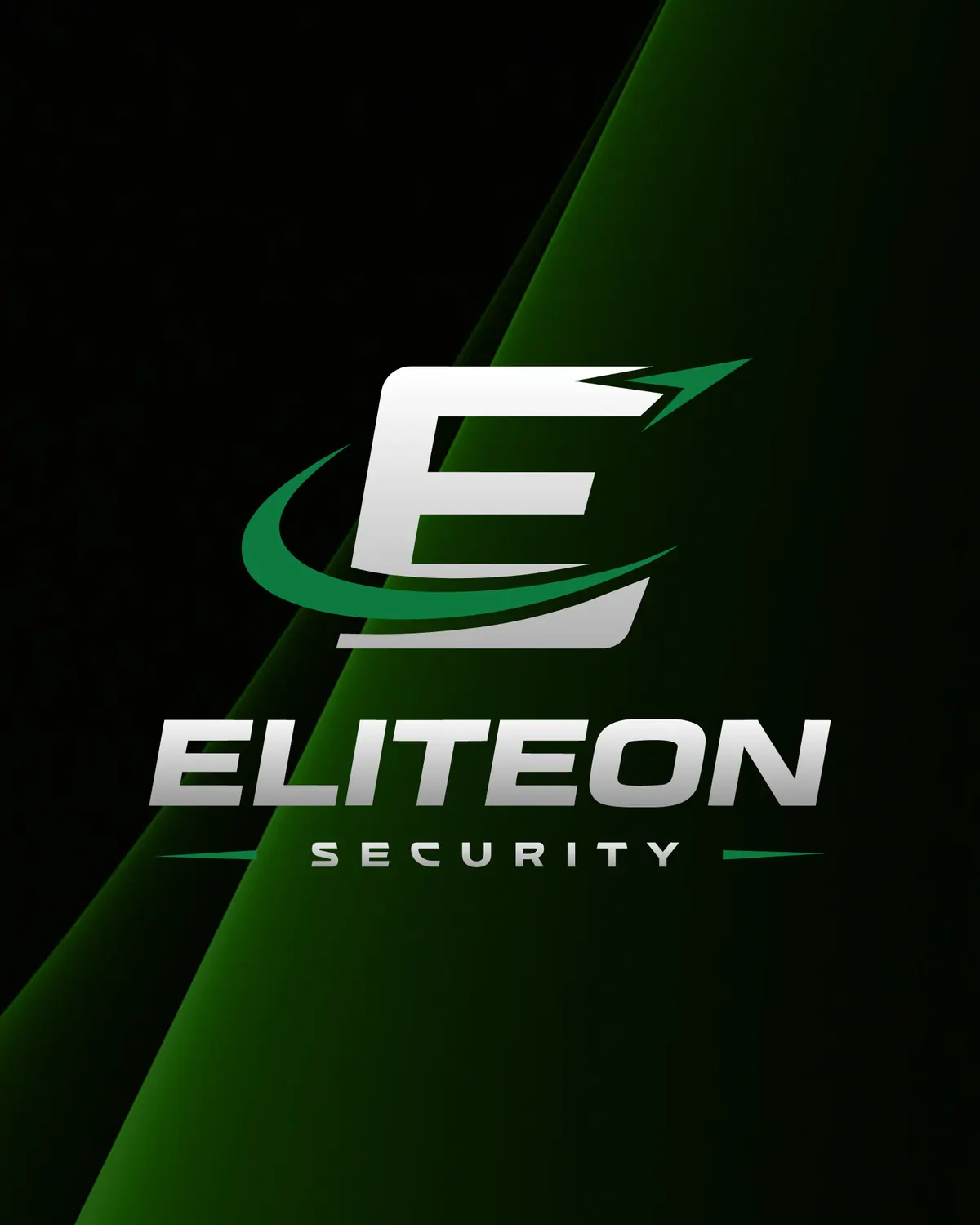 Eliteon Security, Λογότυπο και ιστοσελίδα, εικόνα 2
