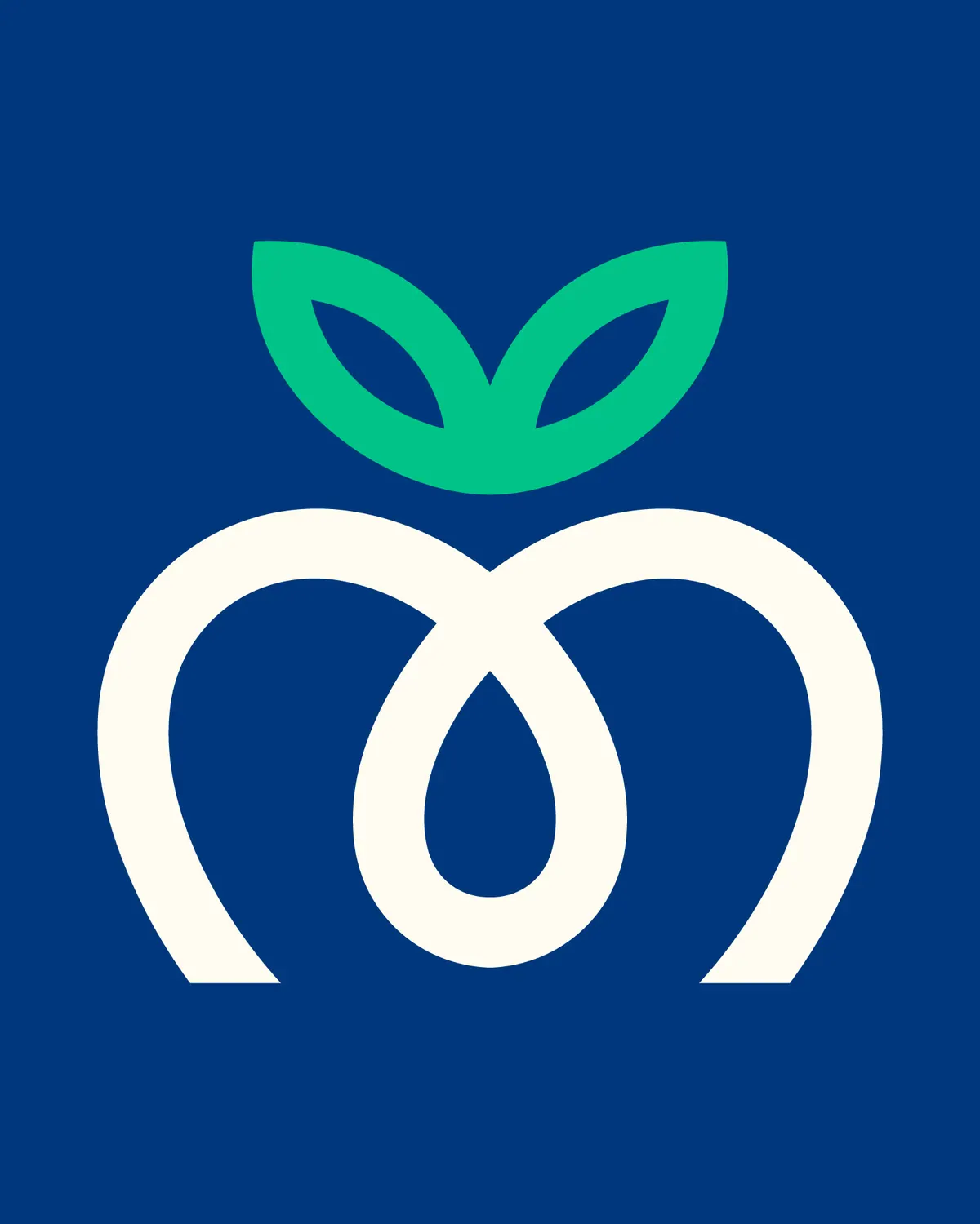 Μαντζιώρος Fruits, Εταιρική ταυτότητα, εικόνα 7