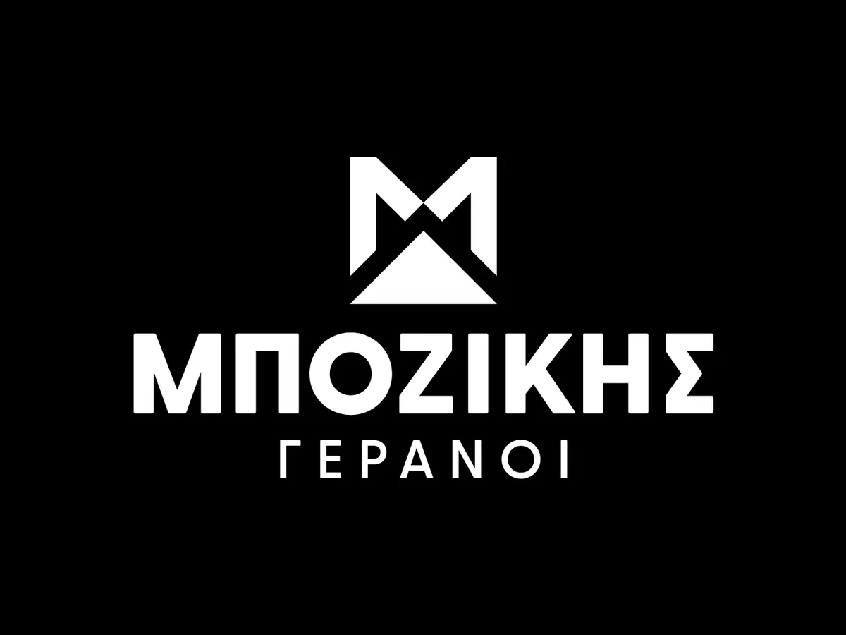 Μποζίκης Γερανοί Κορίνθου, Λογότυπο και ιστοσελίδα, εικόνα 9
