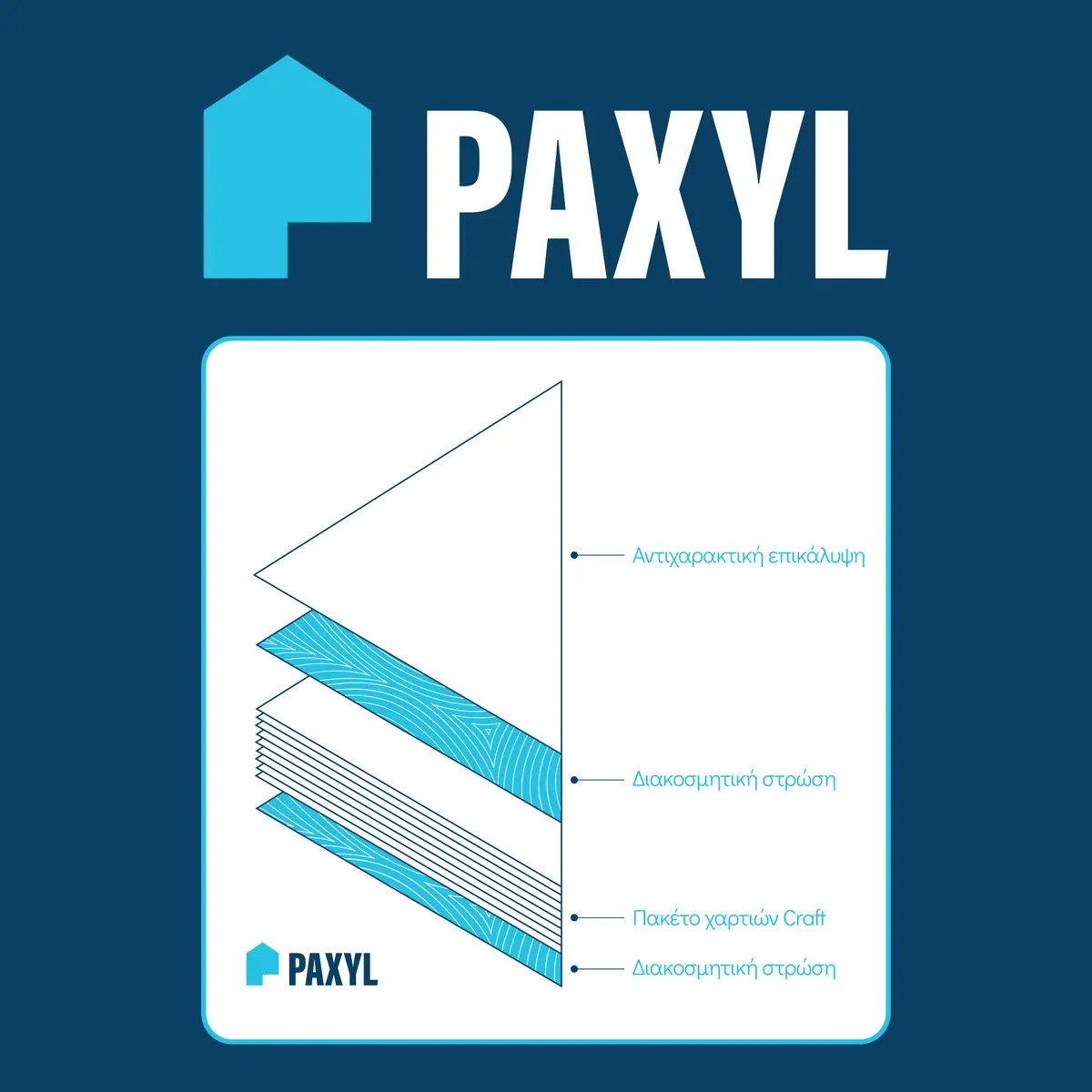 PAXYL, Οπτική ταυτότητα, εικόνα 2