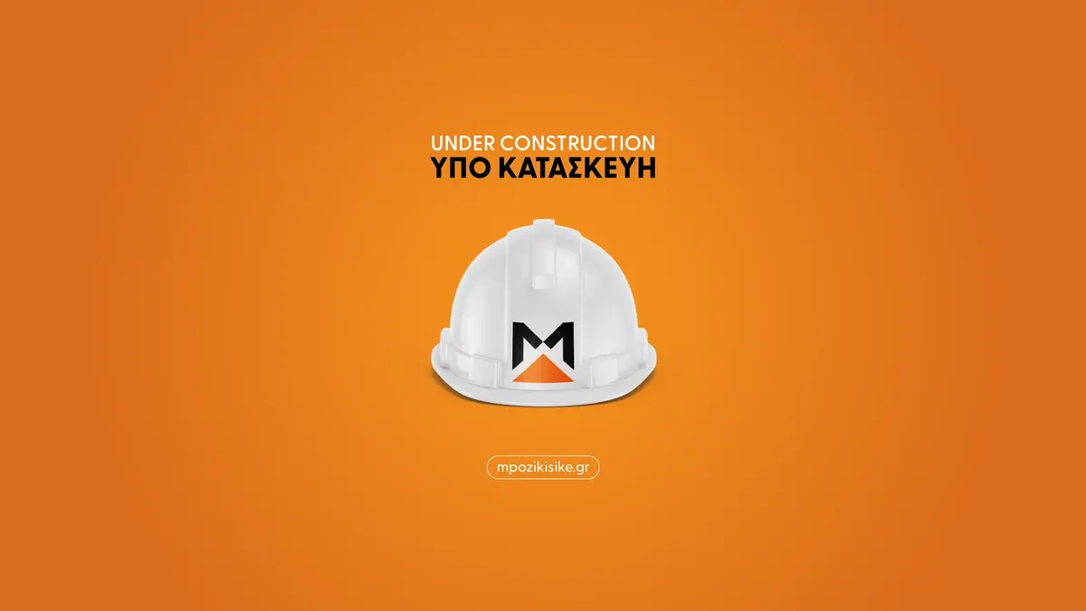 Μποζίκης Γερανοί Κορίνθου, Λογότυπο και ιστοσελίδα, εικόνα 14
