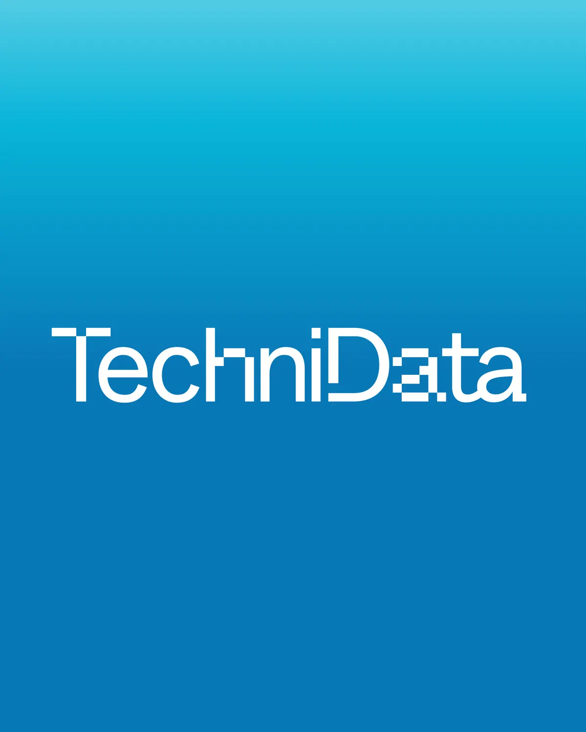 TechniData, Εταιρική ταυτότητα, εικόνα 3
