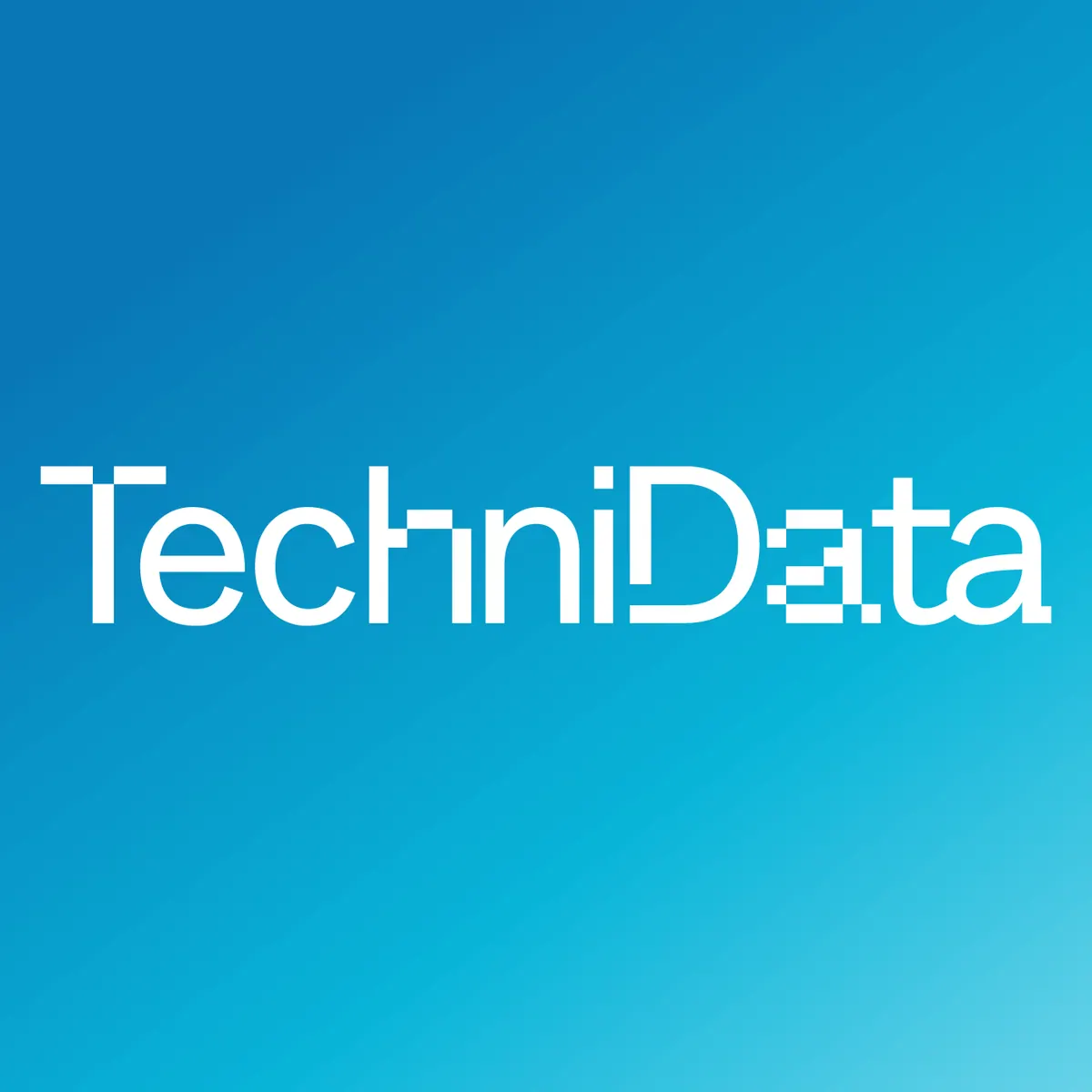 TechniData, Εταιρική ταυτότητα, εικόνα 5